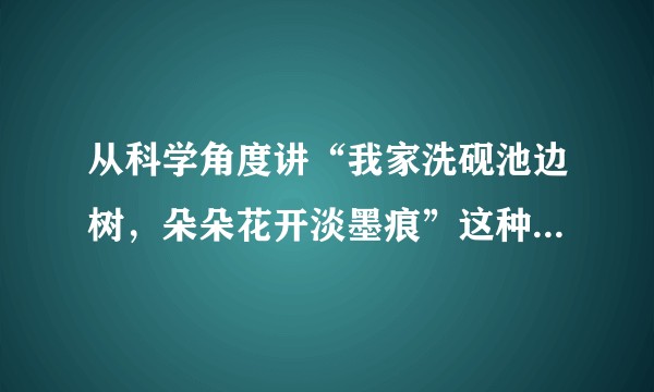 从科学角度讲“我家洗砚池边树，朵朵花开淡墨痕”这种情况有可能真实发生吗？