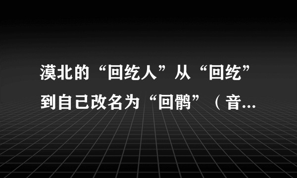 漠北的“回纥人”从“回纥”到自己改名为“回鹘”（音译）的这段时间内，究竟发生了什么？