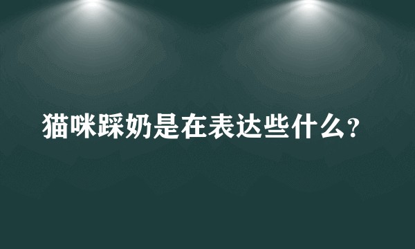猫咪踩奶是在表达些什么?