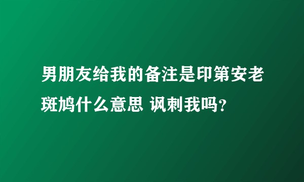 男朋友给我的备注是印第安老斑鸠什么意思 讽刺我吗？