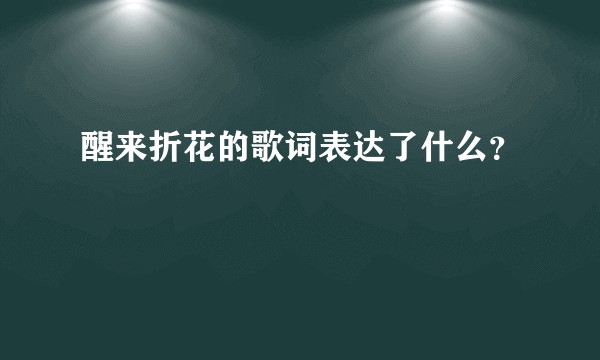醒来折花的歌词表达了什么？