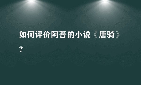 如何评价阿菩的小说《唐骑》？