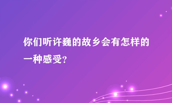 你们听许巍的故乡会有怎样的一种感受？