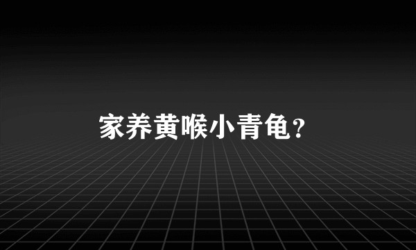 家养黄喉小青龟？
